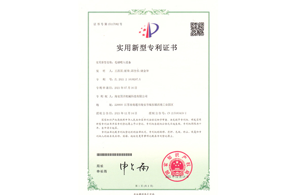 毛球喂入設(shè)備(實(shí)用)